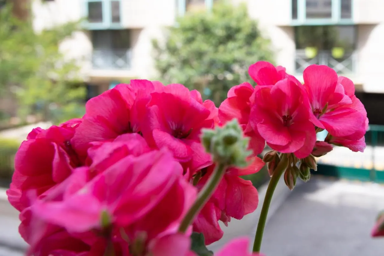 Boutique Apartment La Lavande Free Parking Center Nice